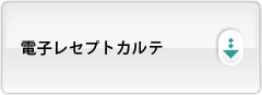 電子レセプトカルテ